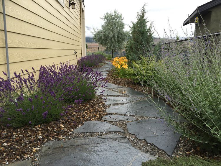 46126f4bbb42922b2232c21073b995af3cea11b6