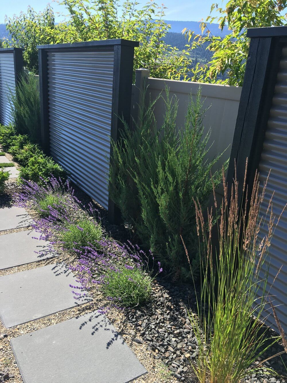 f8fe27101117f6d71631dbddca849347563a0998