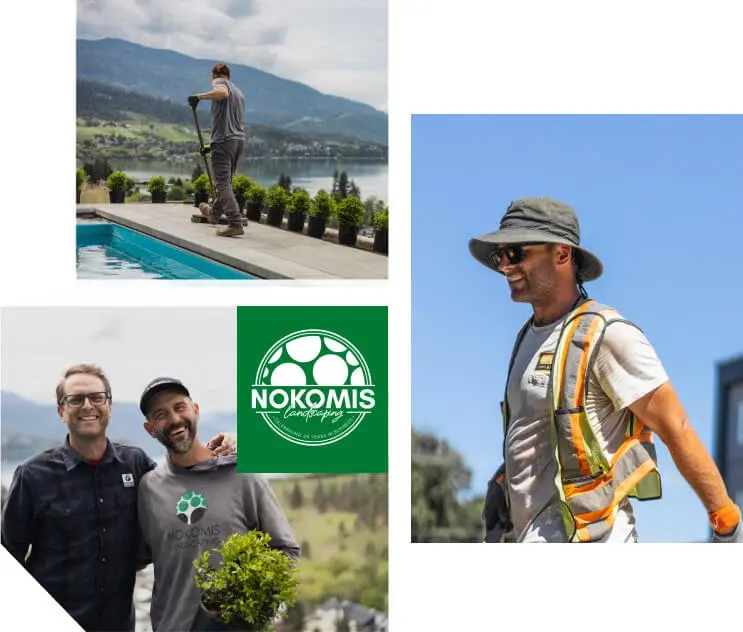 why_you_should_choose_us